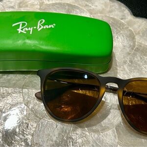 Ray-Ban Black and Brown Erika Frame